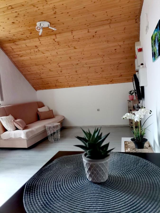 Apartment Dolores Smoljanac Esterno foto