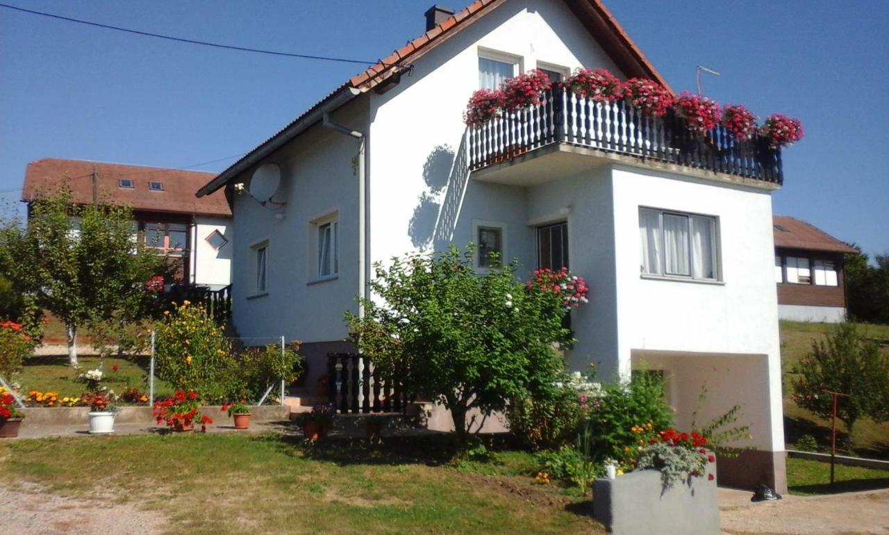 Apartment Dolores Smoljanac Esterno foto