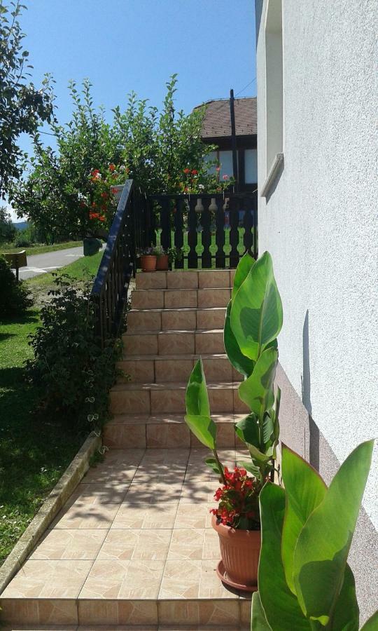 Apartment Dolores Smoljanac Esterno foto