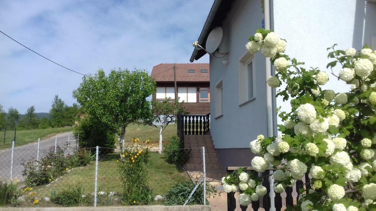 Apartment Dolores Smoljanac Esterno foto